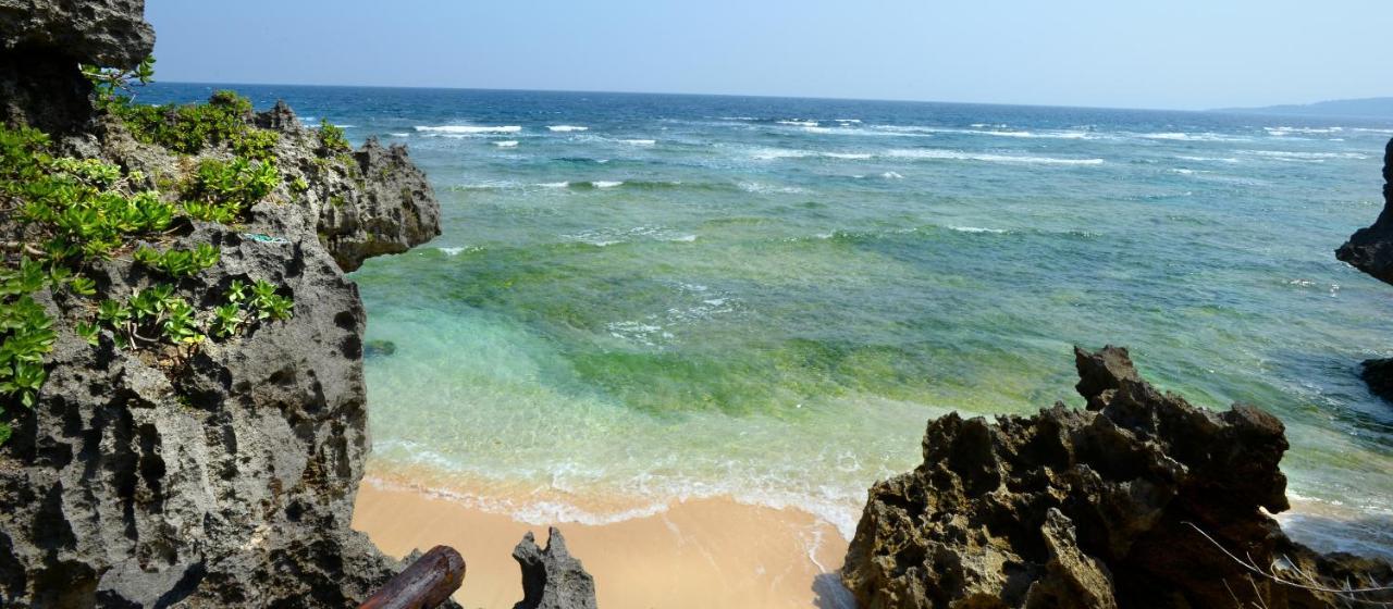 Wisteria Ocean Nakijinヴィラ エクステリア 写真